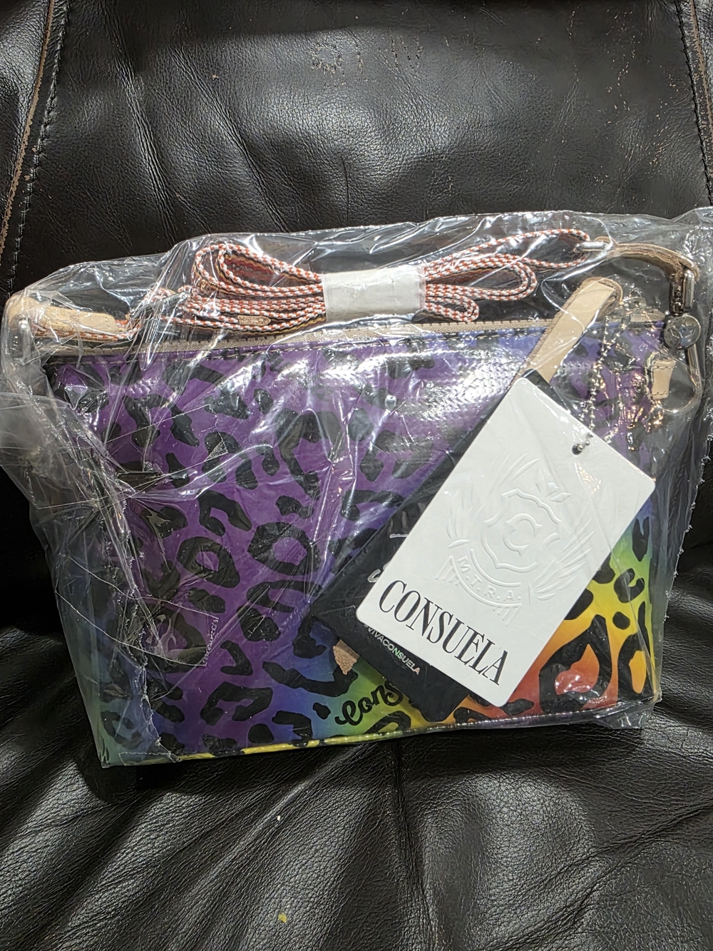 Consuela Purple Multi Rainbow Leopard Crossbody Bag